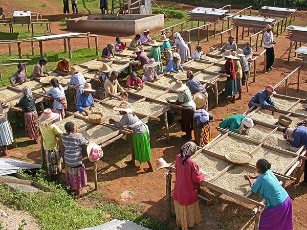 Photo: Facebook @arcaffe