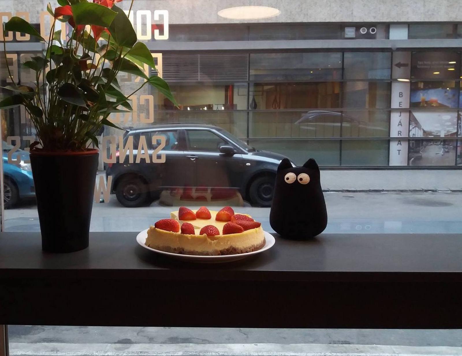 Photo: Facebook @coffeecat