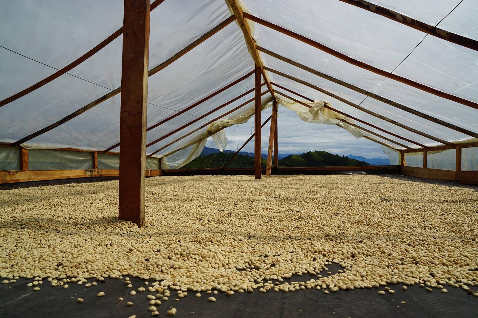 Photo: Facebook @hygge42