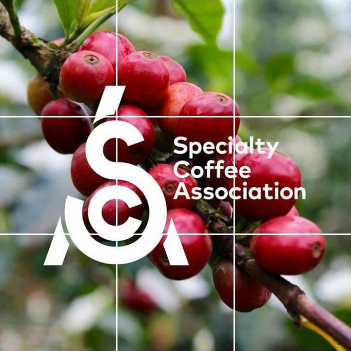 Photo: Facebook @scahungary